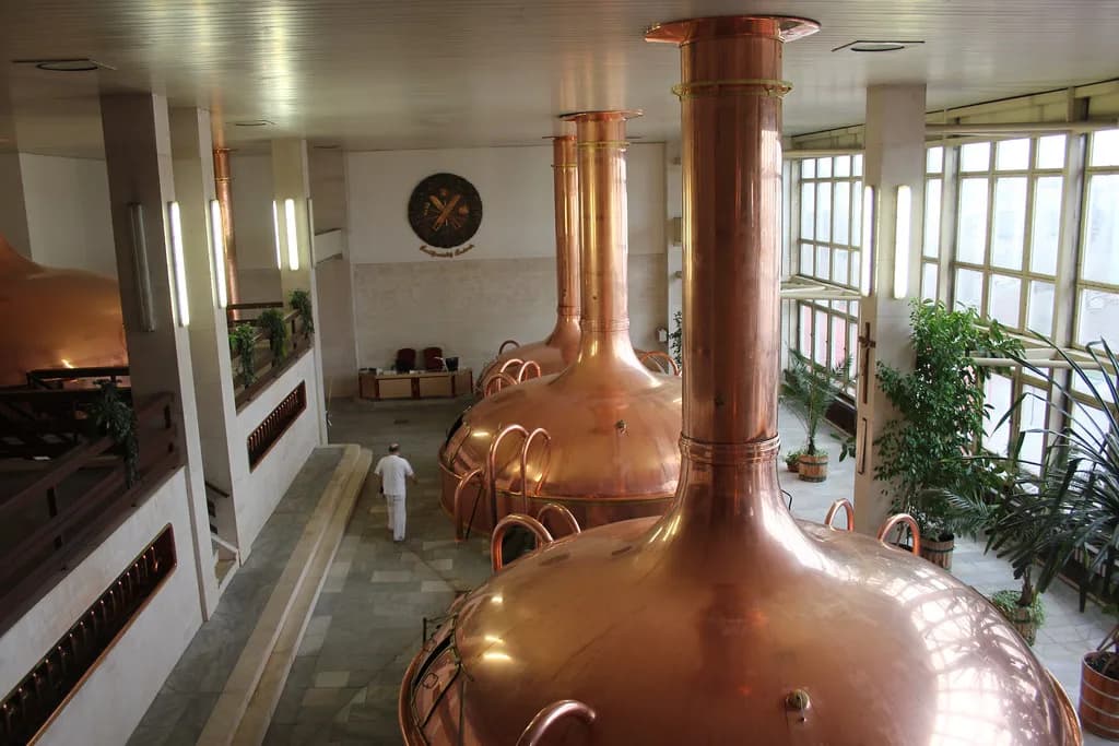 Budvar Brewery in České Budějovice: Tours and What to Expect
