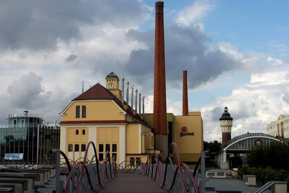 Czech Pilsner: What It Is and Where the Style Was Born