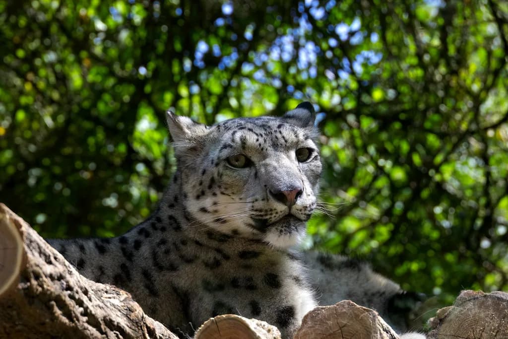 Jihlava Zoo: Exhibits, Getting There and How Long to Allow