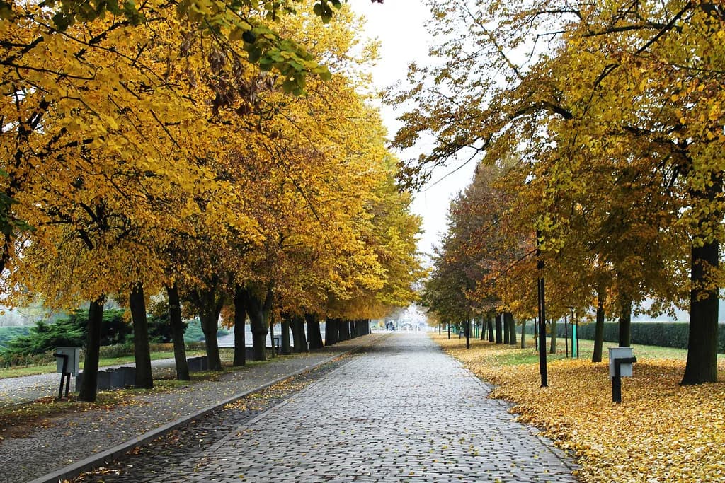 Magdeburg Barracks, Terezín: What to See Inside