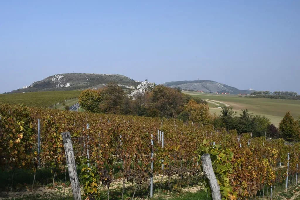 Pálava Hills Above Mikulov: What to See and How It Fits a Trip