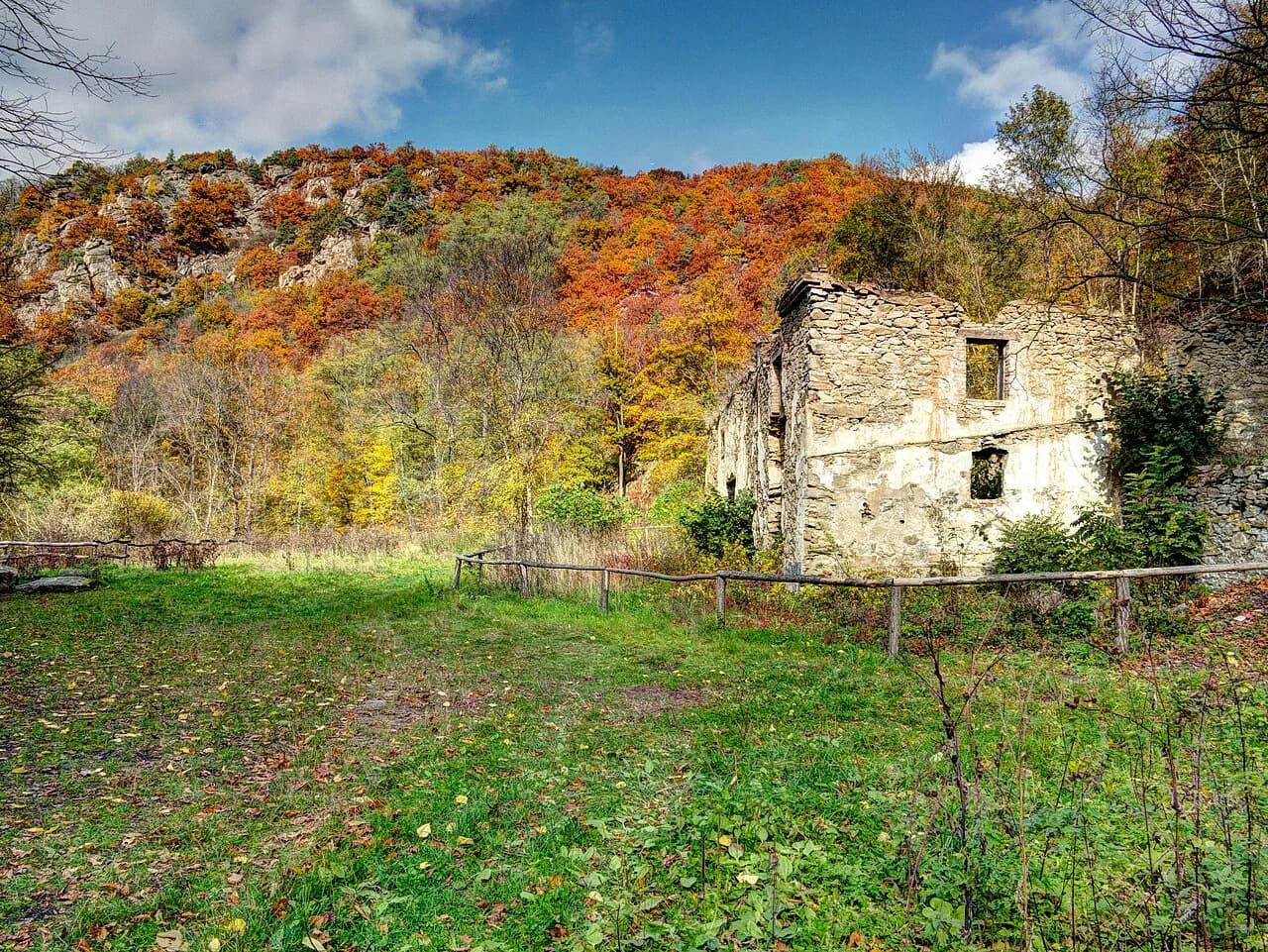 Podyjí National Park: The Dyje River Valley on the Austrian Border