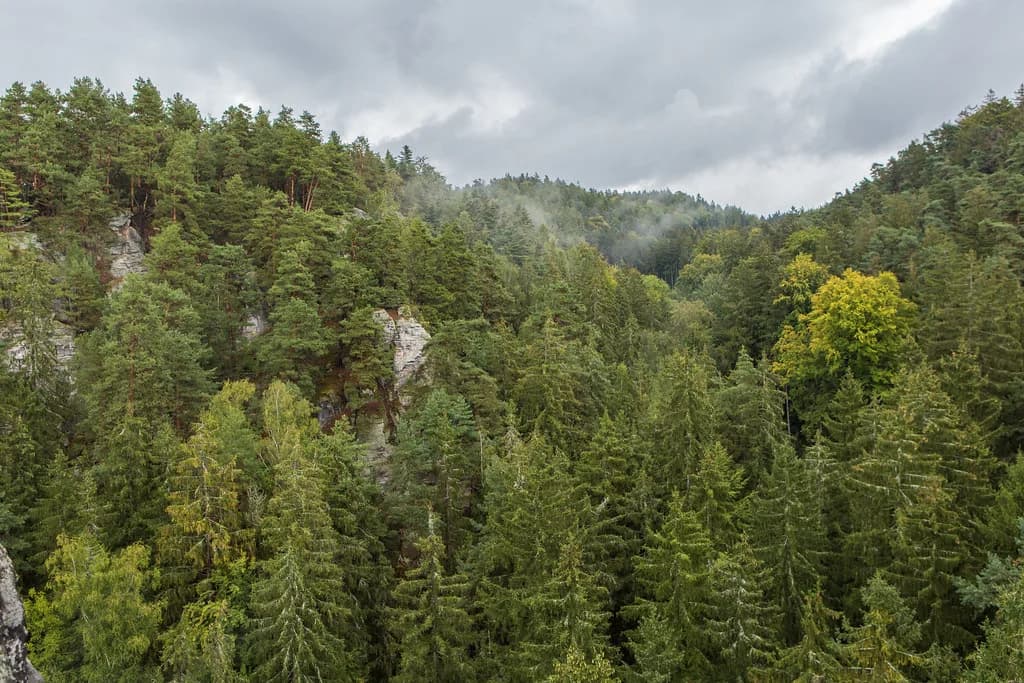 Prachov Rocks: Circuits, Viewpoints and Entry Rules