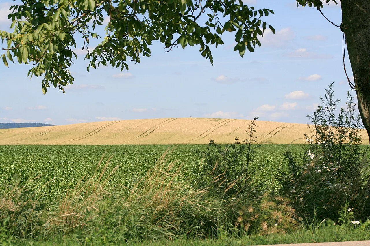 Fields below Staré vinohrady, seen from the Prace road on the Austerlitz battlefield.