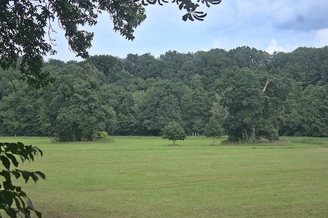 An open meadow framed by trees in Babiččino údolí.