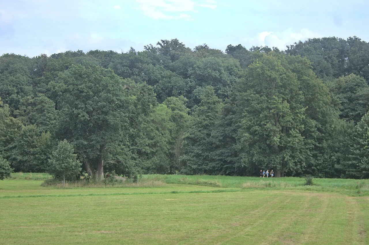 A meadow in Babiččino údolí (Grandmother's Valley) near Ratibořice.