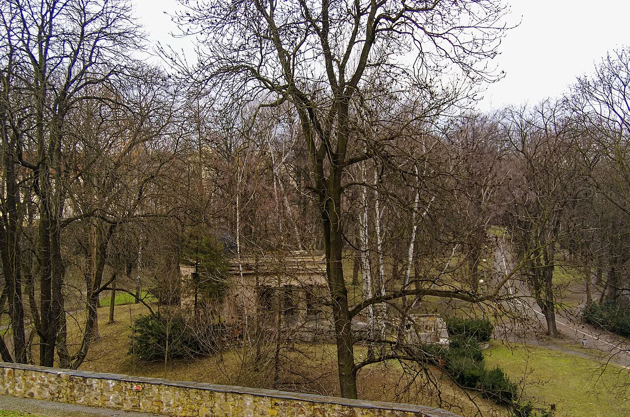 Trees and paths in Bezručovy sady, Olomouc.
