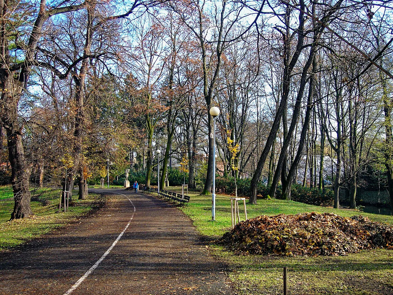 A tree-lined path through Bezručovy sady park in Olomouc.