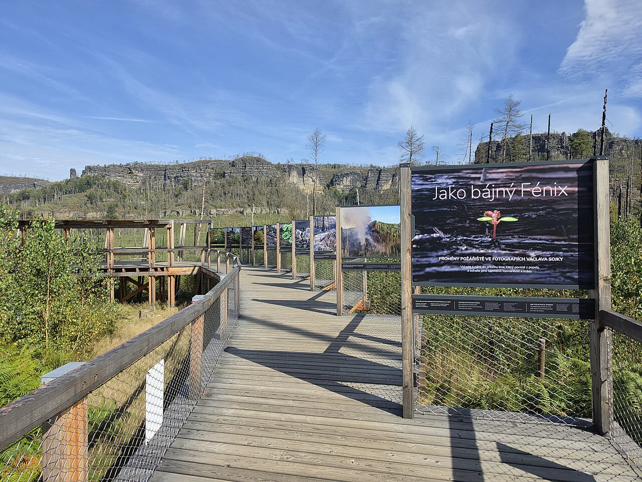 A boardwalk with information boards in Bohemian Switzerland National Park.