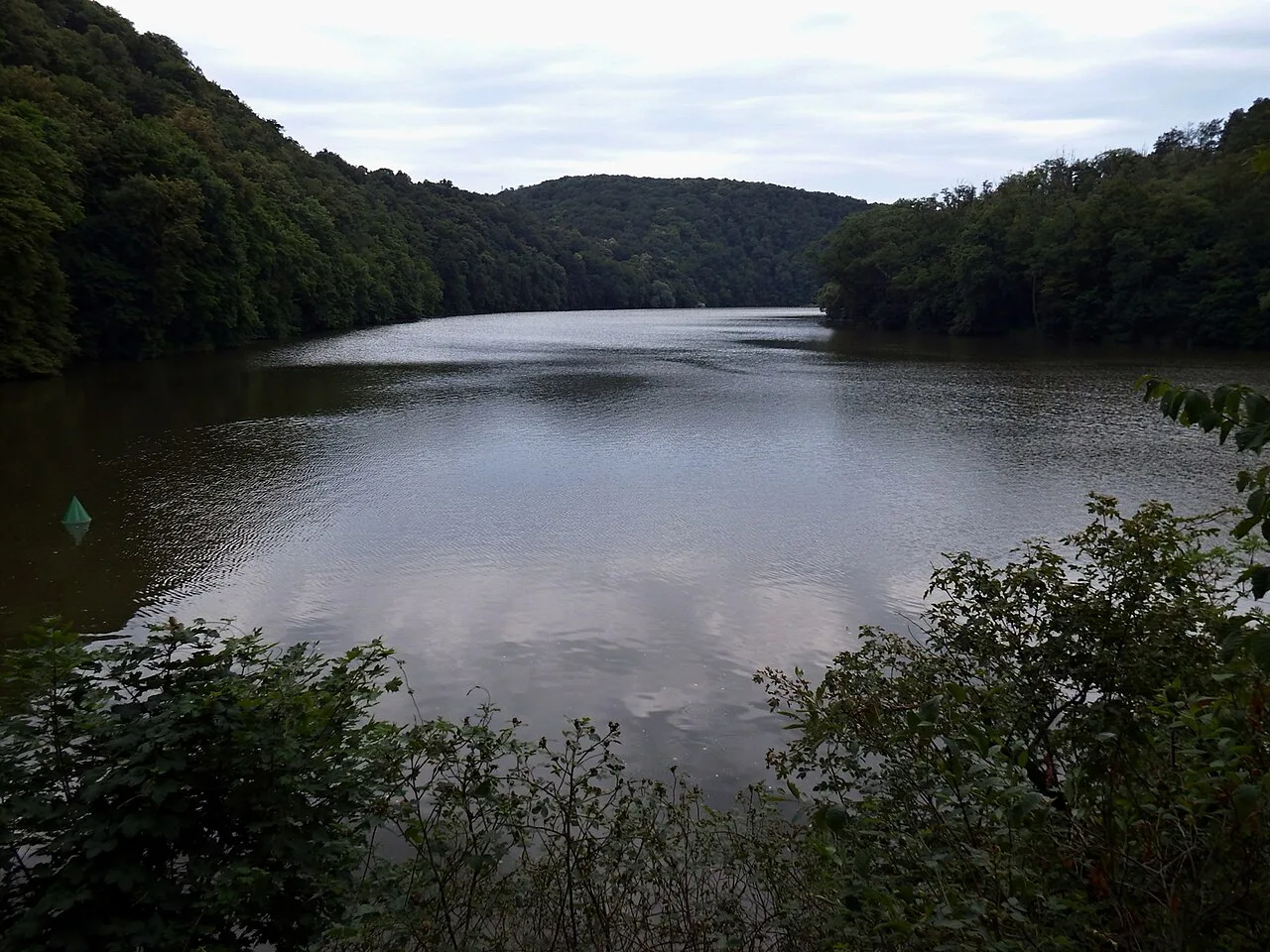 Wooded shores of the Brno Reservoir