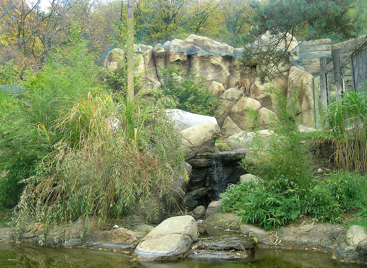 The Tiger's Rock enclosure at Brno Zoo.
