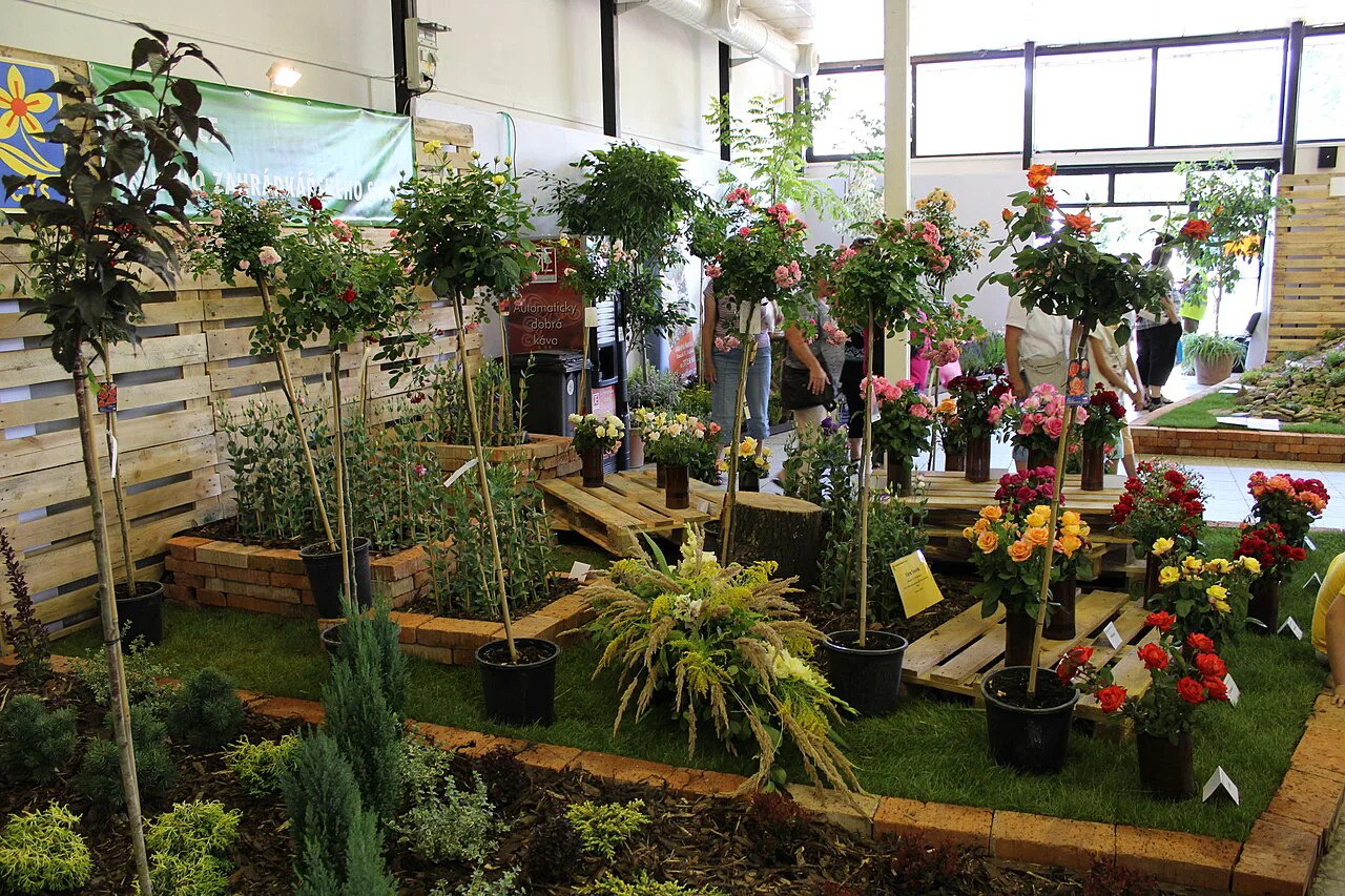 Indoor plant display at the Flora Olomouc exhibition