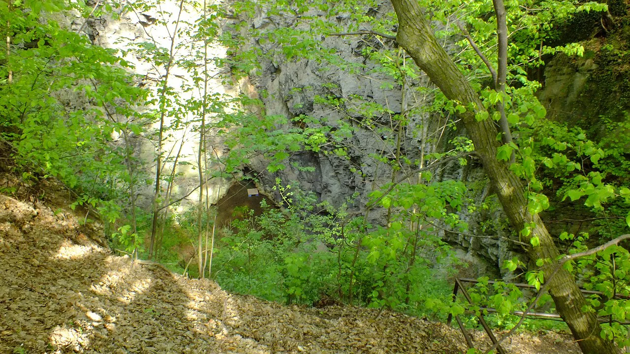 Looking down into the green, wooded Hranice Abyss.