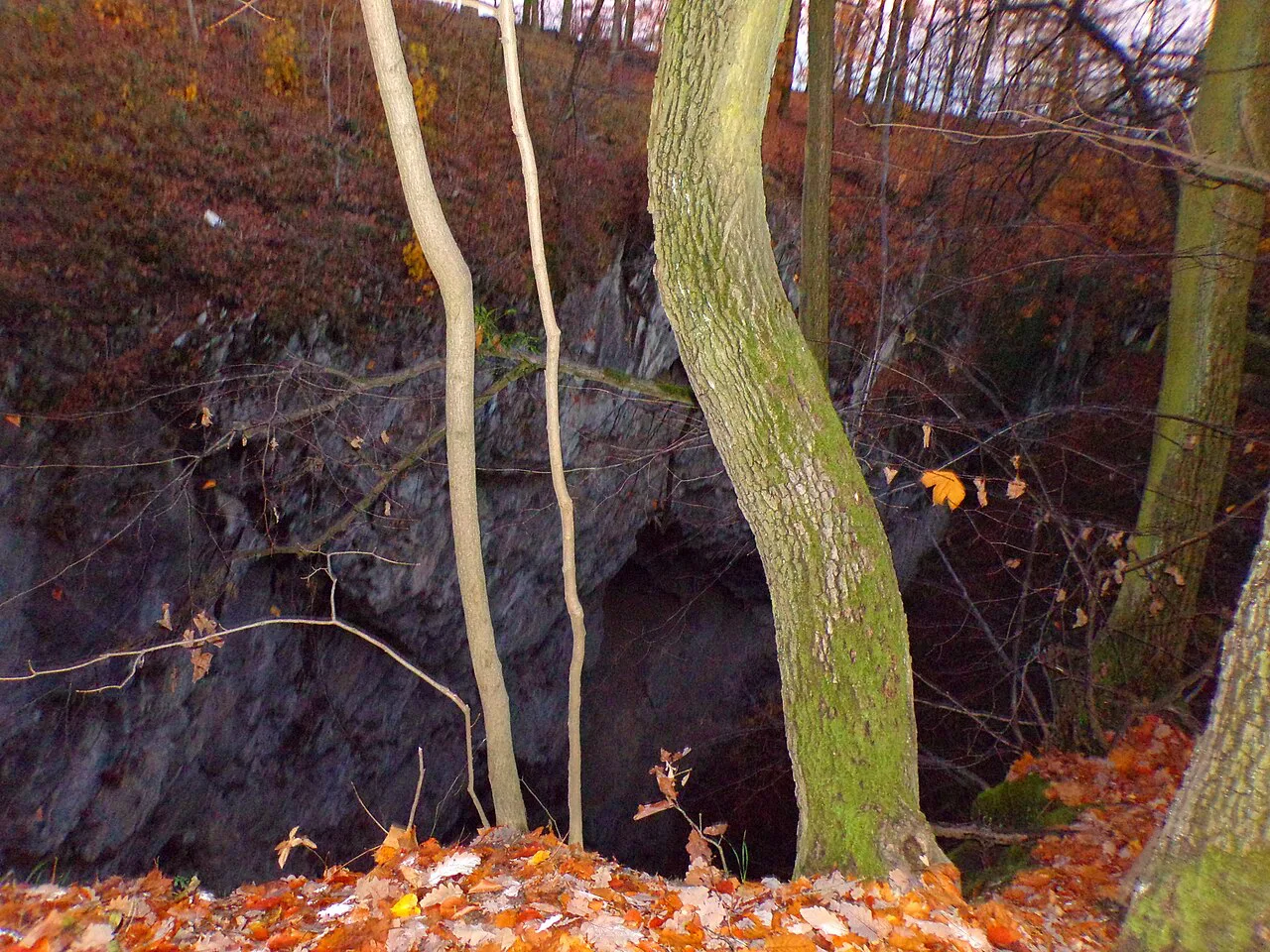 Autumn leaves around the rim of the Hranice Abyss.