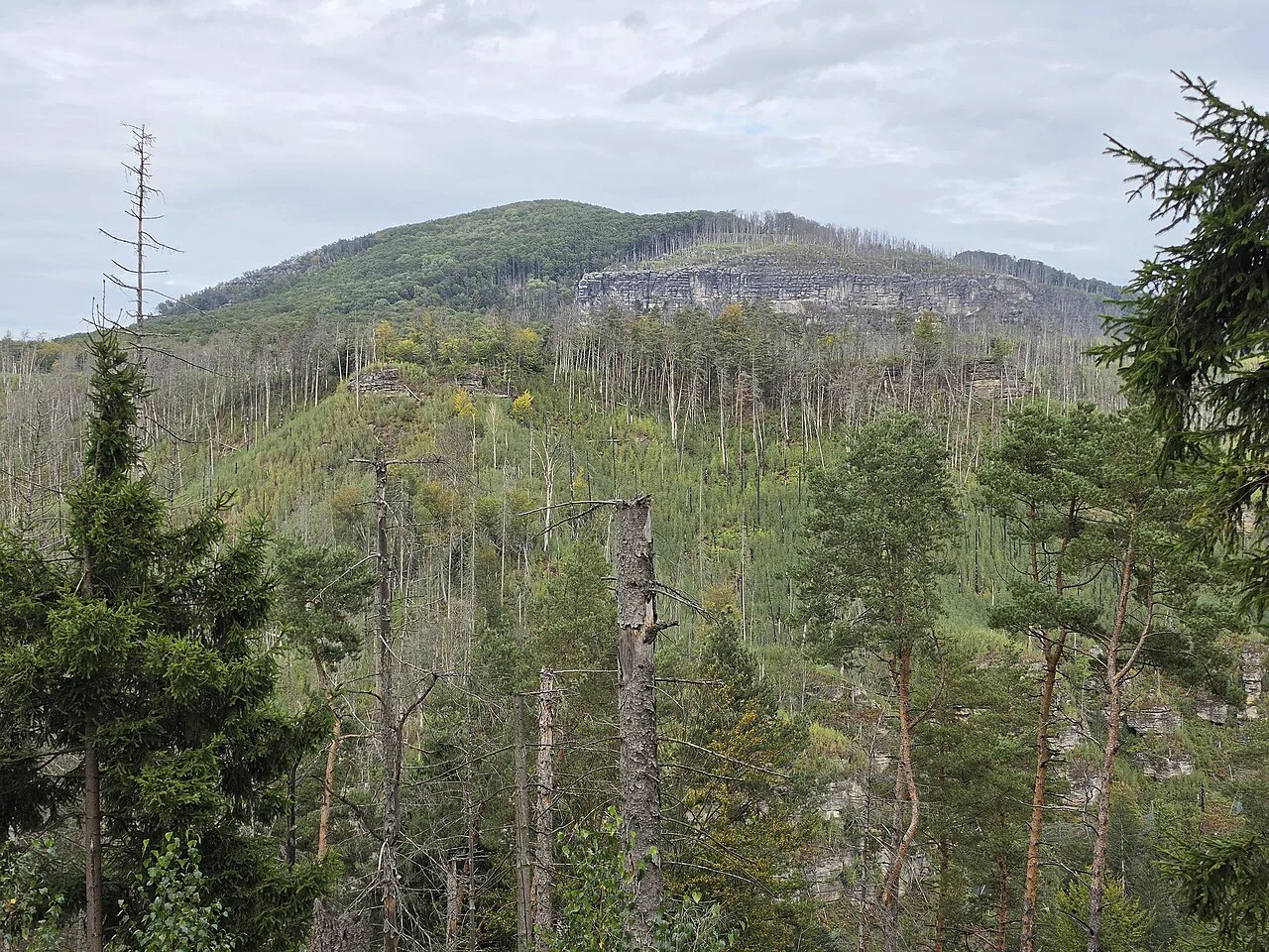 View over the Kamenice Canyon in Bohemian Switzerland National Park toward the Großer Winterberg in Saxony.
