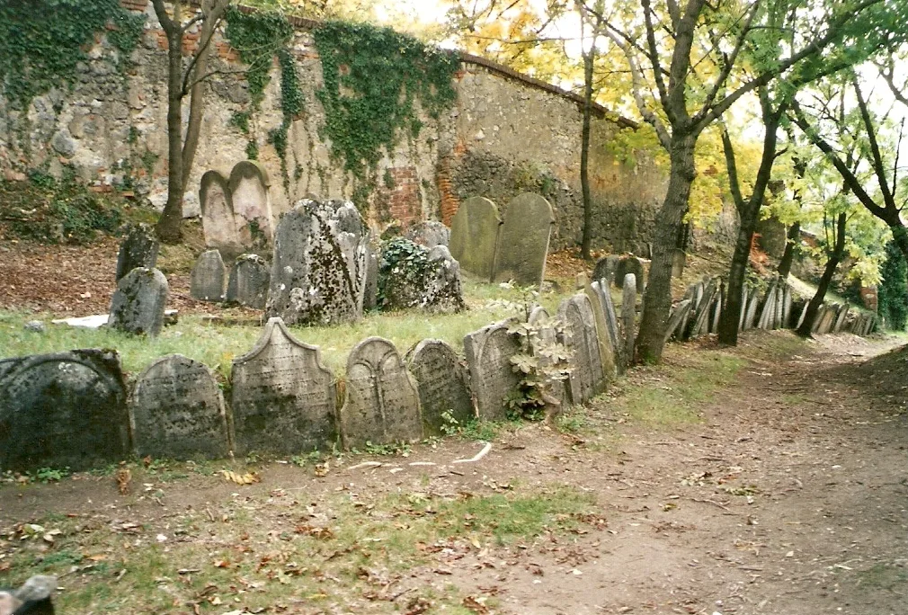 Old gravestones in the Jewish Cemetery, Mikulov.