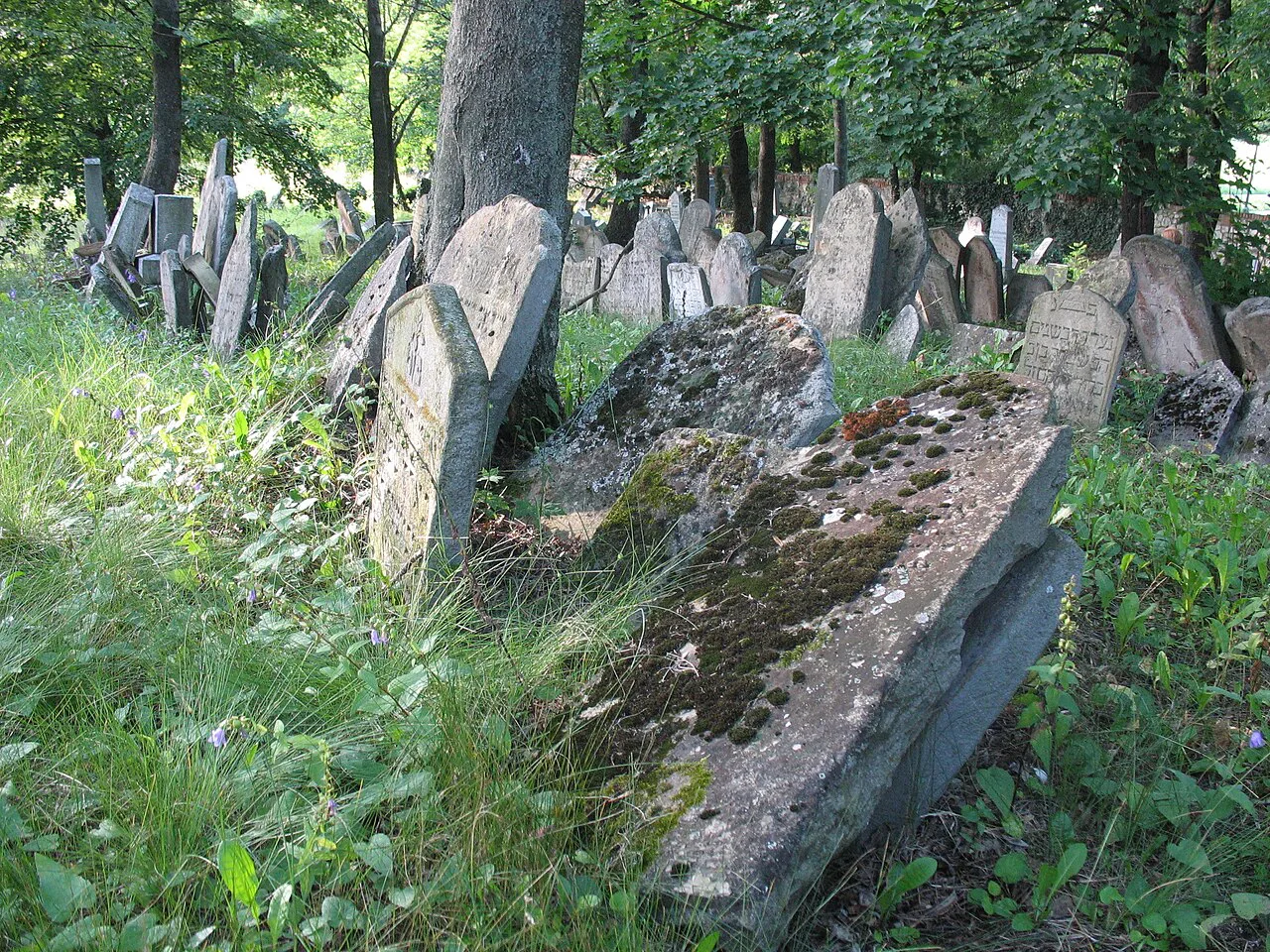Weathered gravestones in the Jewish Cemetery, Mikulov.