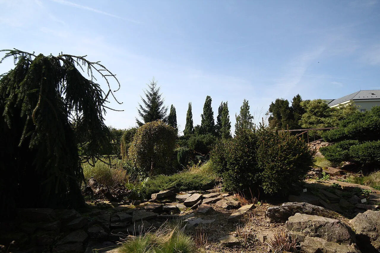 Planted rockery at the Liberec Botanical Garden.