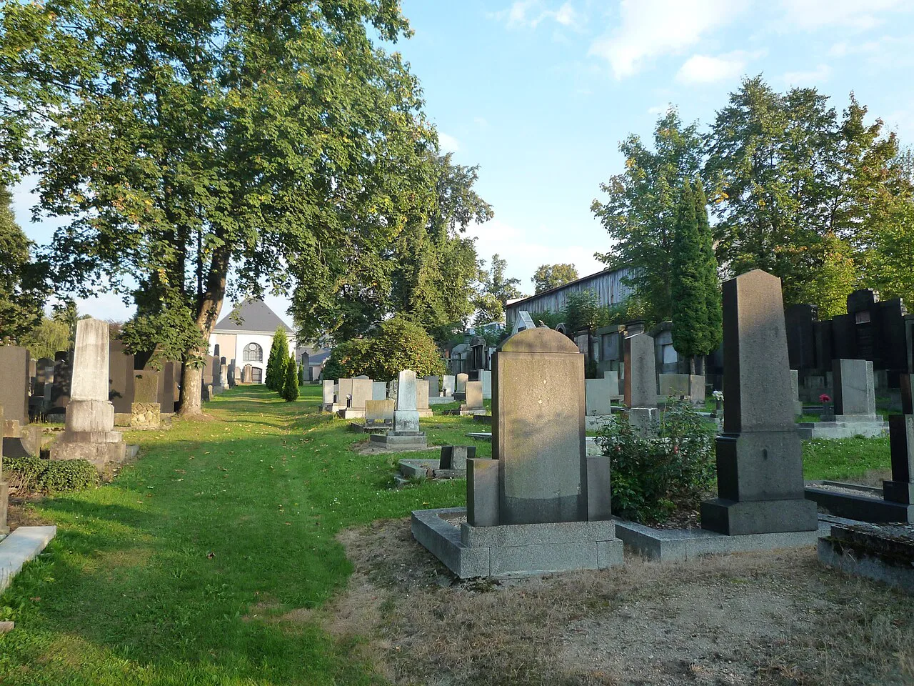 Gravestones in the Jewish cemetery in Liberec.