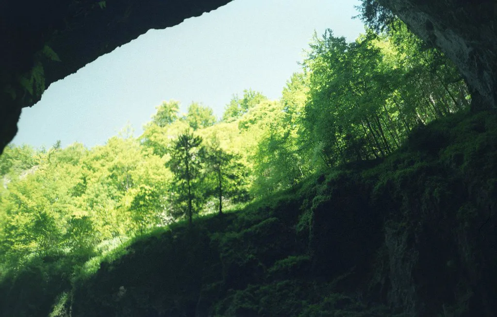 Looking up from the bottom of the Macocha Abyss
