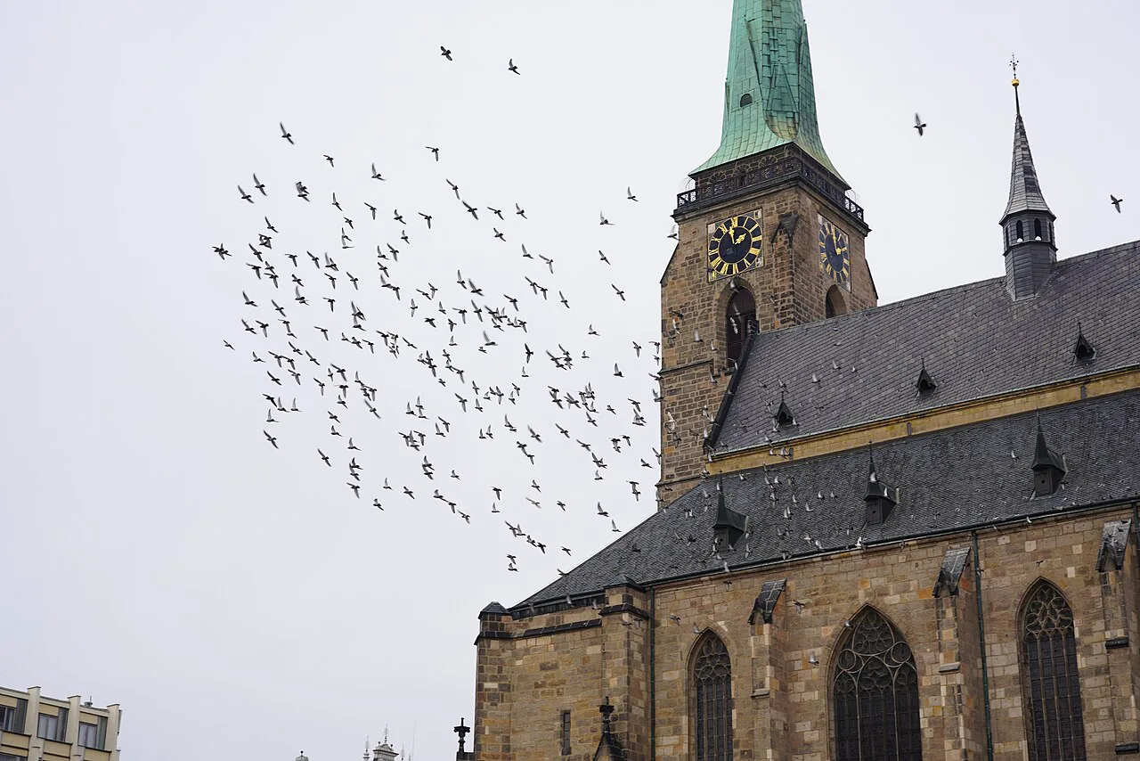 The tower of the Cathedral of St. Bartholomew, Plzeň.