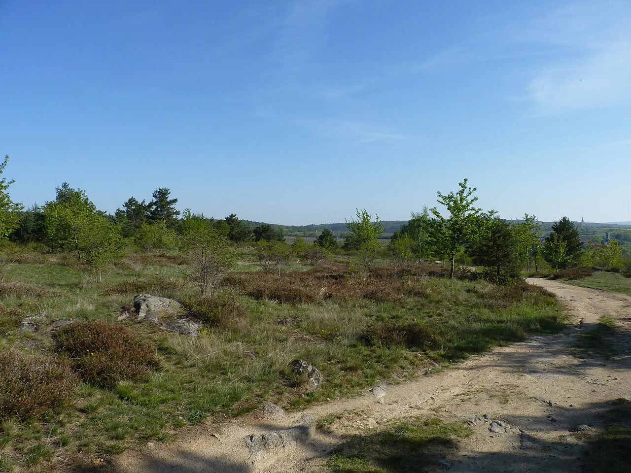 Heathland and a dirt track near Havraníky in Podyjí National Park.