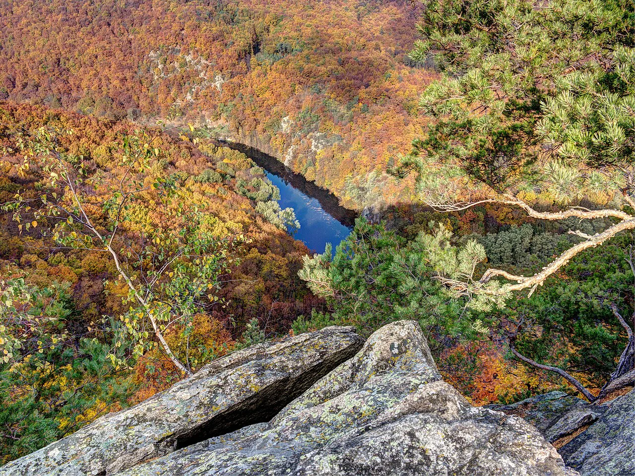 The Dyje River valley seen from the Sealsfield Stone in Podyjí National Park.