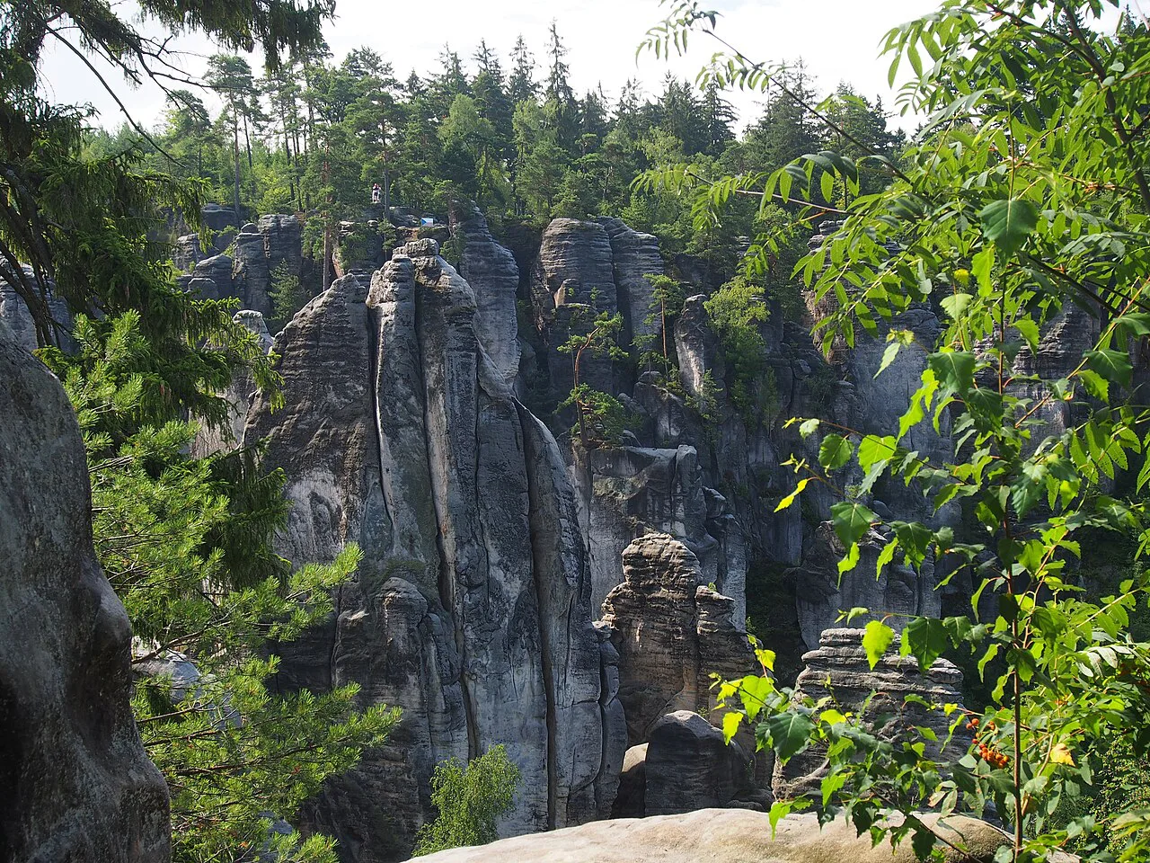 Sandstone towers at Prachov Rocks in the Bohemian Paradise.
