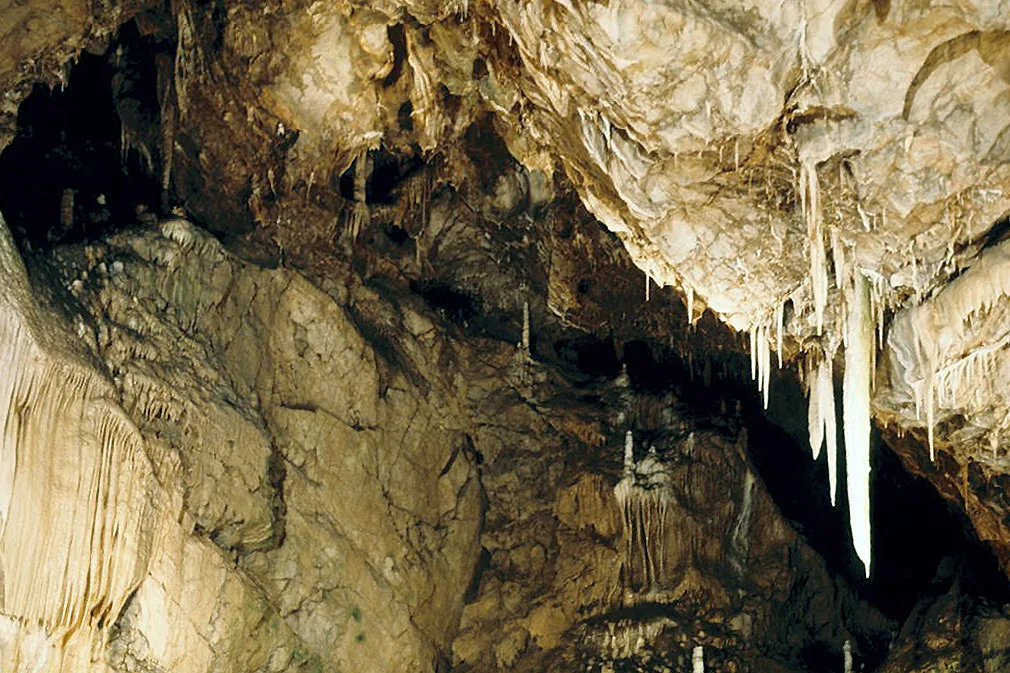 Stalactites in the Punkva River cave, Moravian Karst.