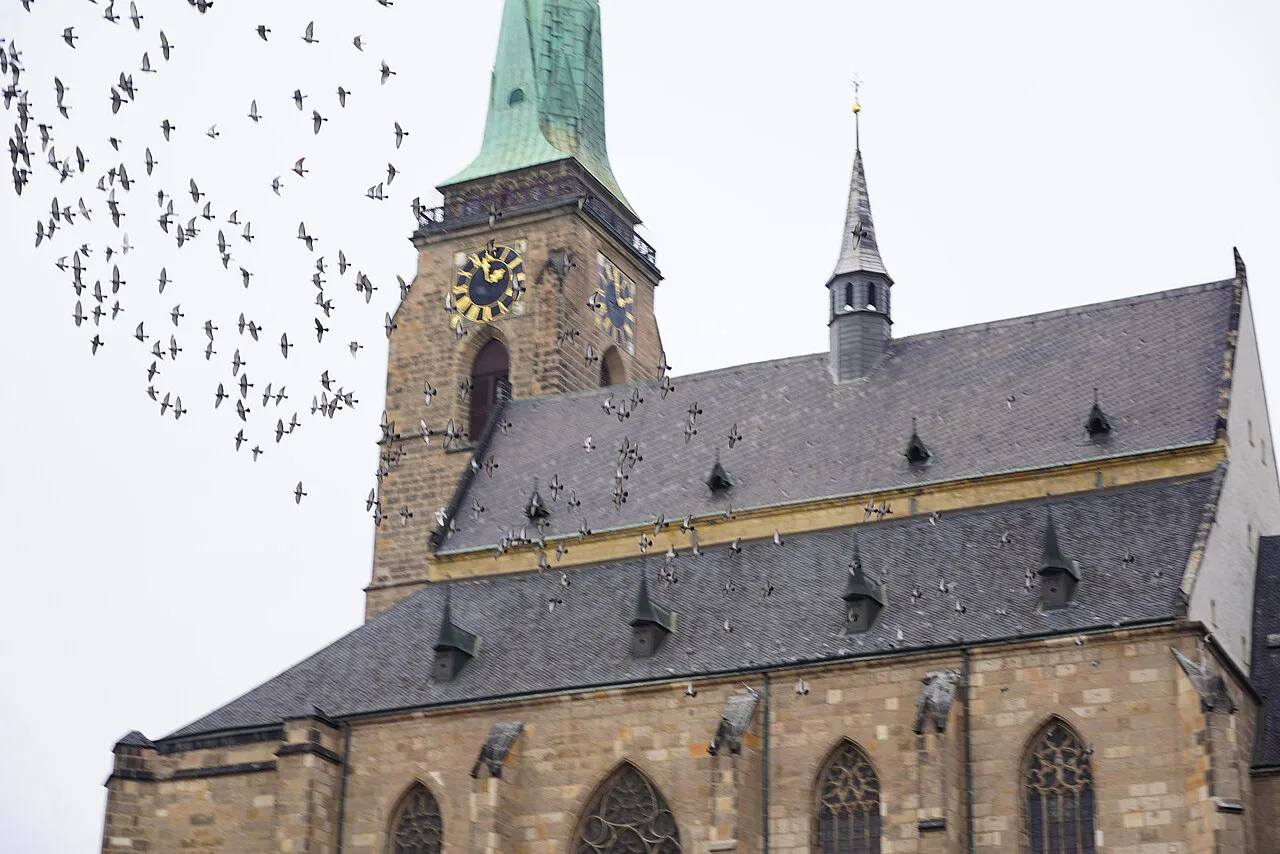 The Cathedral of St. Bartholomew and its tower, Plzeň.