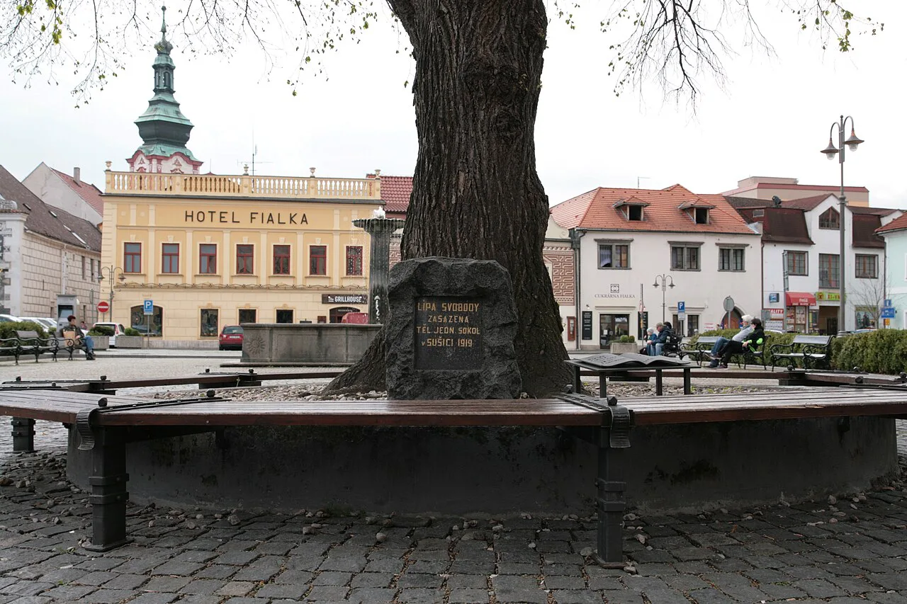 Liberty linden on Náměstí Svobody in Sušice