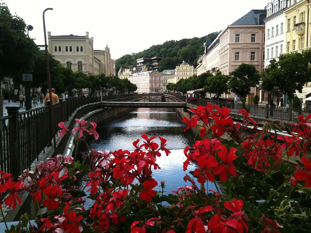 Red flowers beside the Teplá River in Karlovy Vary.
