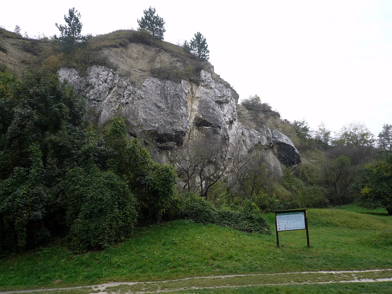 Limestone cliffs in the Turold nature reserve, Mikulov.